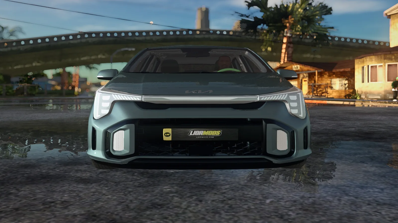 LiorMods plate